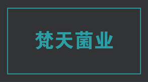 食品行业张家港工作服设计款式